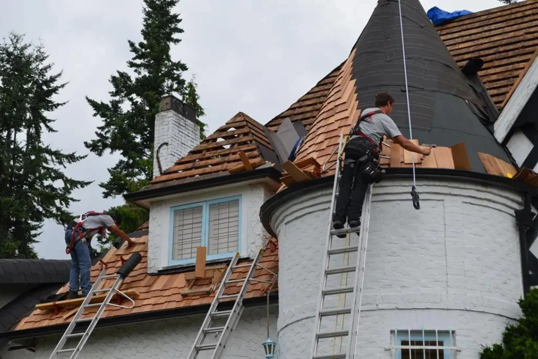 Cedar Shakes & Repairs (3)